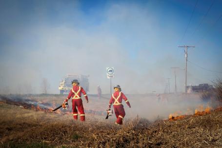 Firefighters putting out flames along a highway.