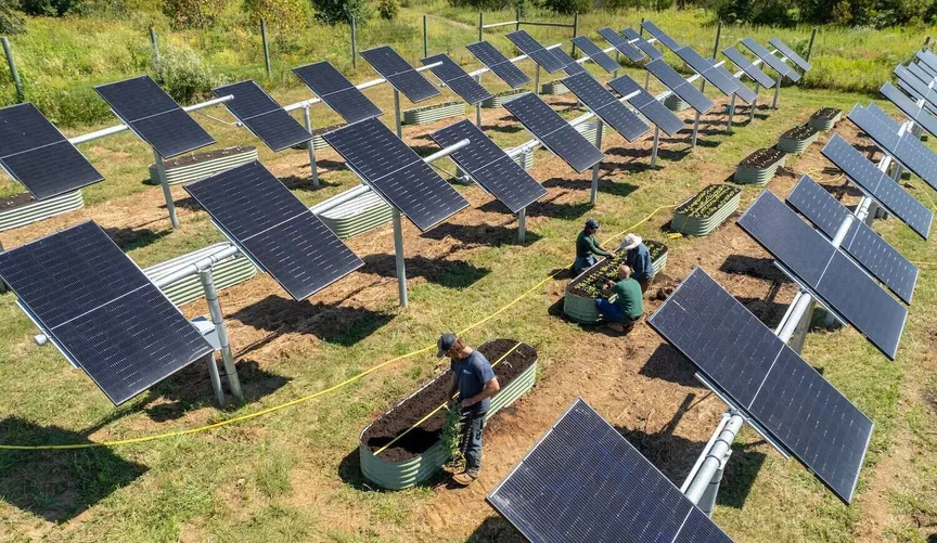 Can farmland thrive with solar? This Virginia nonprofit is finding out.