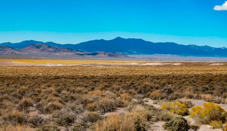 Canceled solar megaproject reveals new threat to renewables