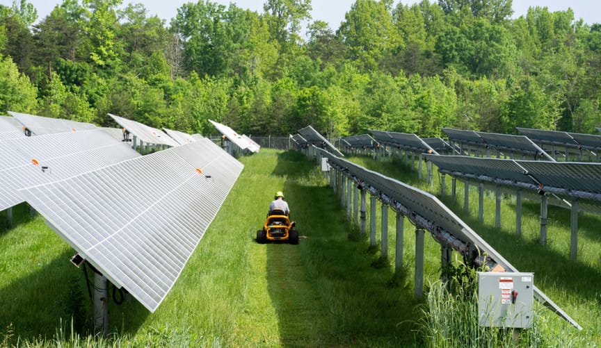 A man mows the grass between rows of solar panels