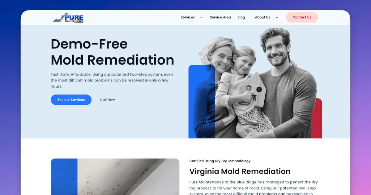 Affordable Mold Remediation & Mold Testing - Pure Maintenance of the ...