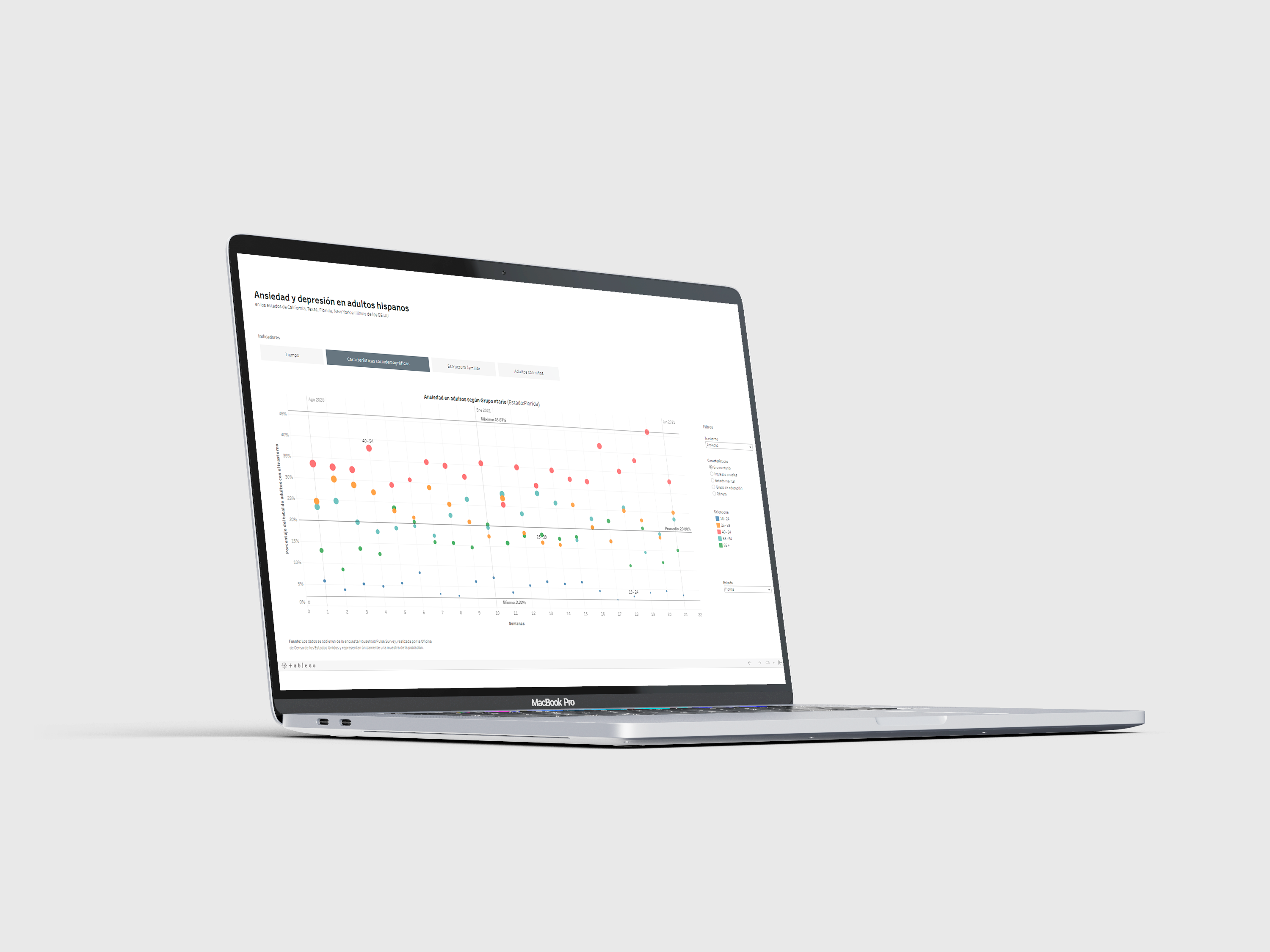 Screen of the visualization