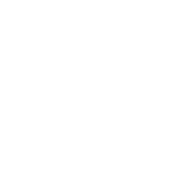 A white circle on a black background.