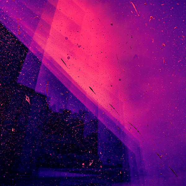 Licensed Image - Portrait Webflow Template