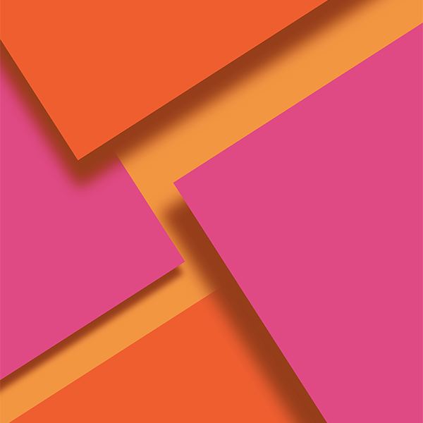 Licensed Image - Portrait Webflow Template