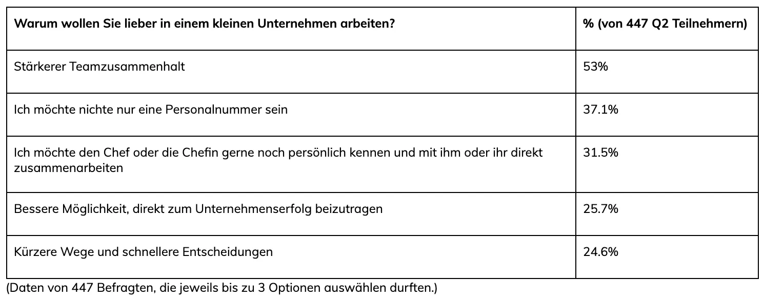 Warum wollen Sie lieber in einem kleinen Unternehmen arbeiten?