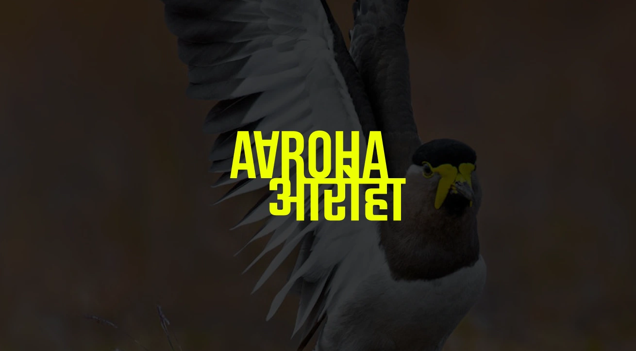 Aaroha logo visual placed over an image of a bird in mid-flight, symbolizing freedom, growth, and balance with nature. The composition reflects the brand’s philosophy of rising through craft and consciousness, blending minimal design with earthy storytelling that mirrors Aaroha’s handcrafted identity and sustainable ethos.