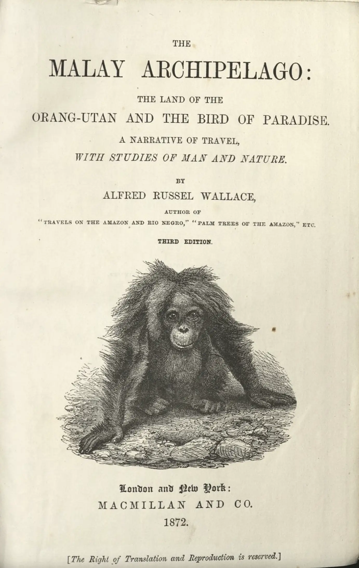 The Malay Archipelago: The Land of the Orang-utan And The Bird Of Paradise. A Narrative Of Travel, With Studies Of Man And Nature.