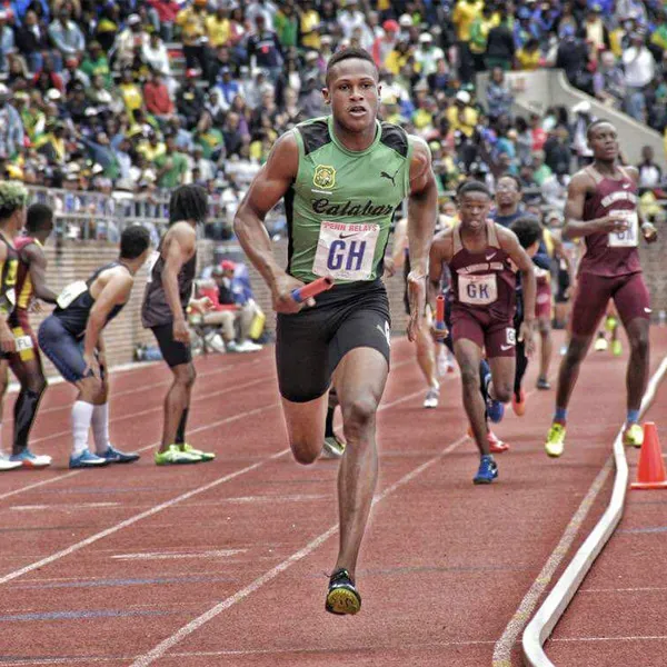 Sons of Herb Gallery