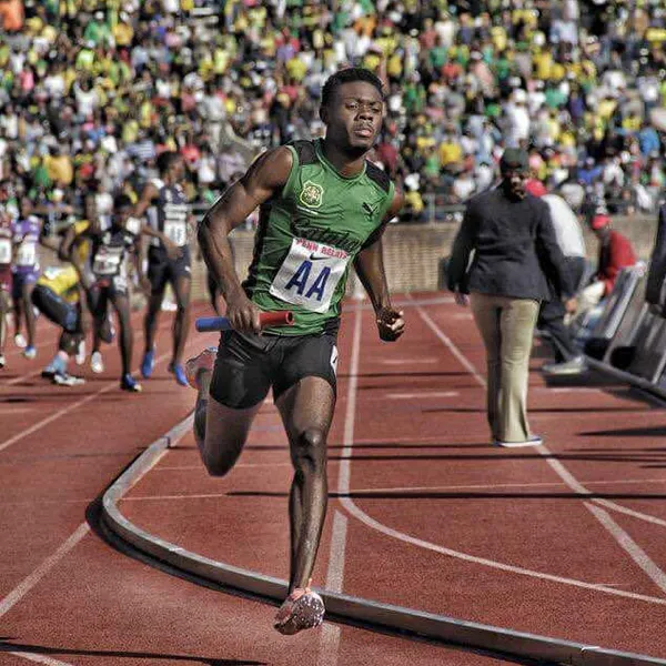 Sons of Herb Gallery