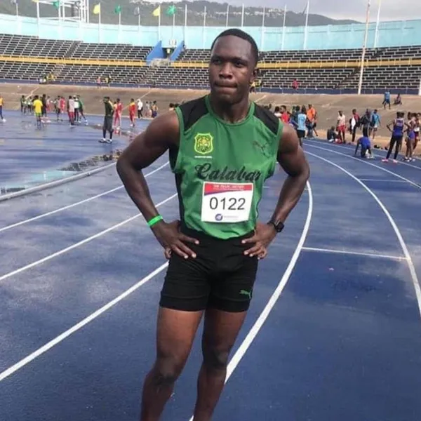 Sons of Herb Gallery