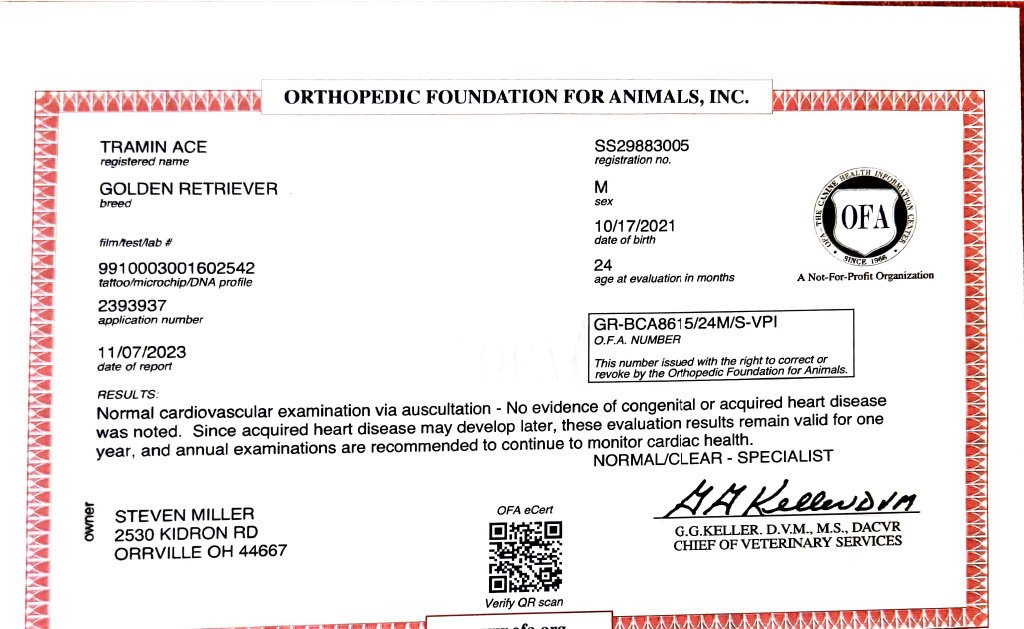 Heart document