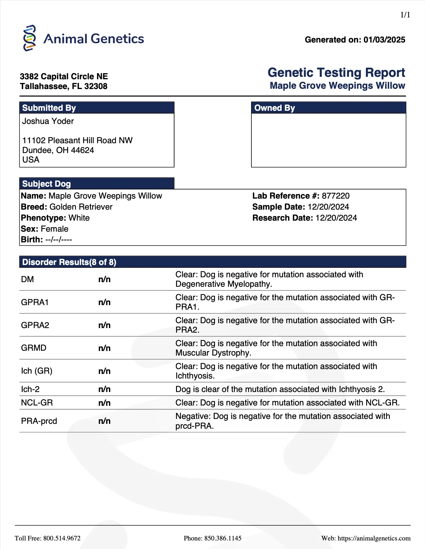 DNA document