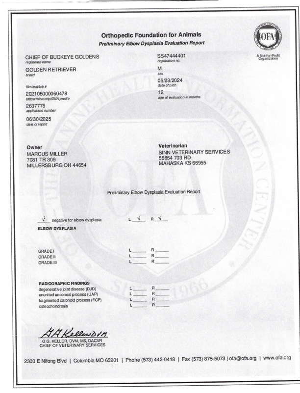 Elbows document