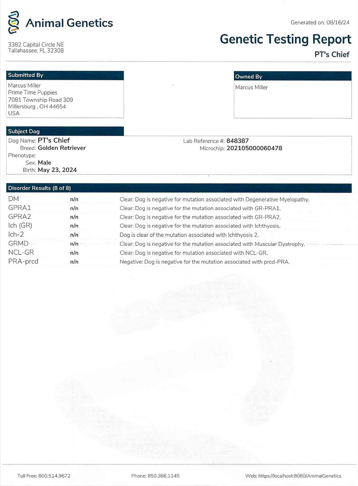 DNA document