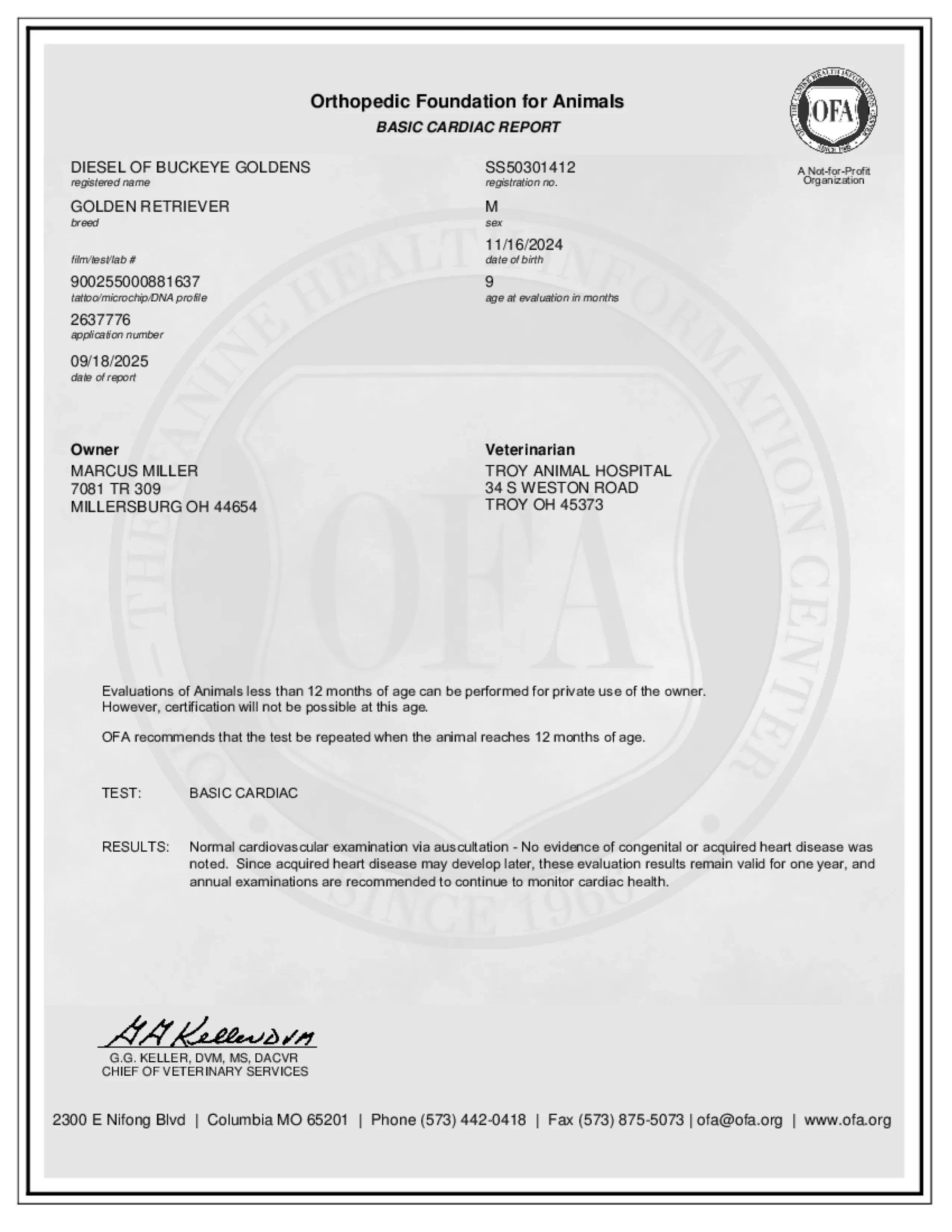 Heart document