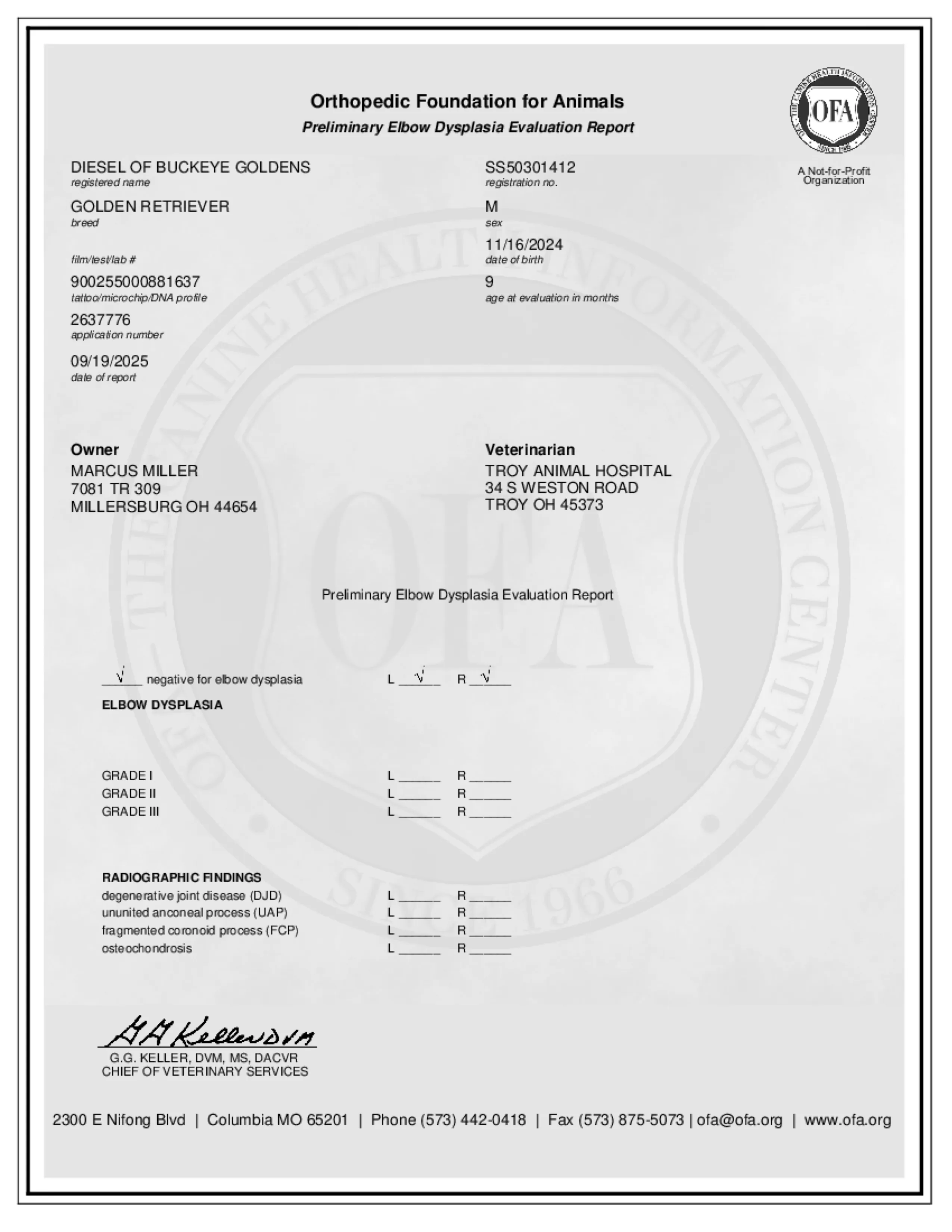 Elbows document