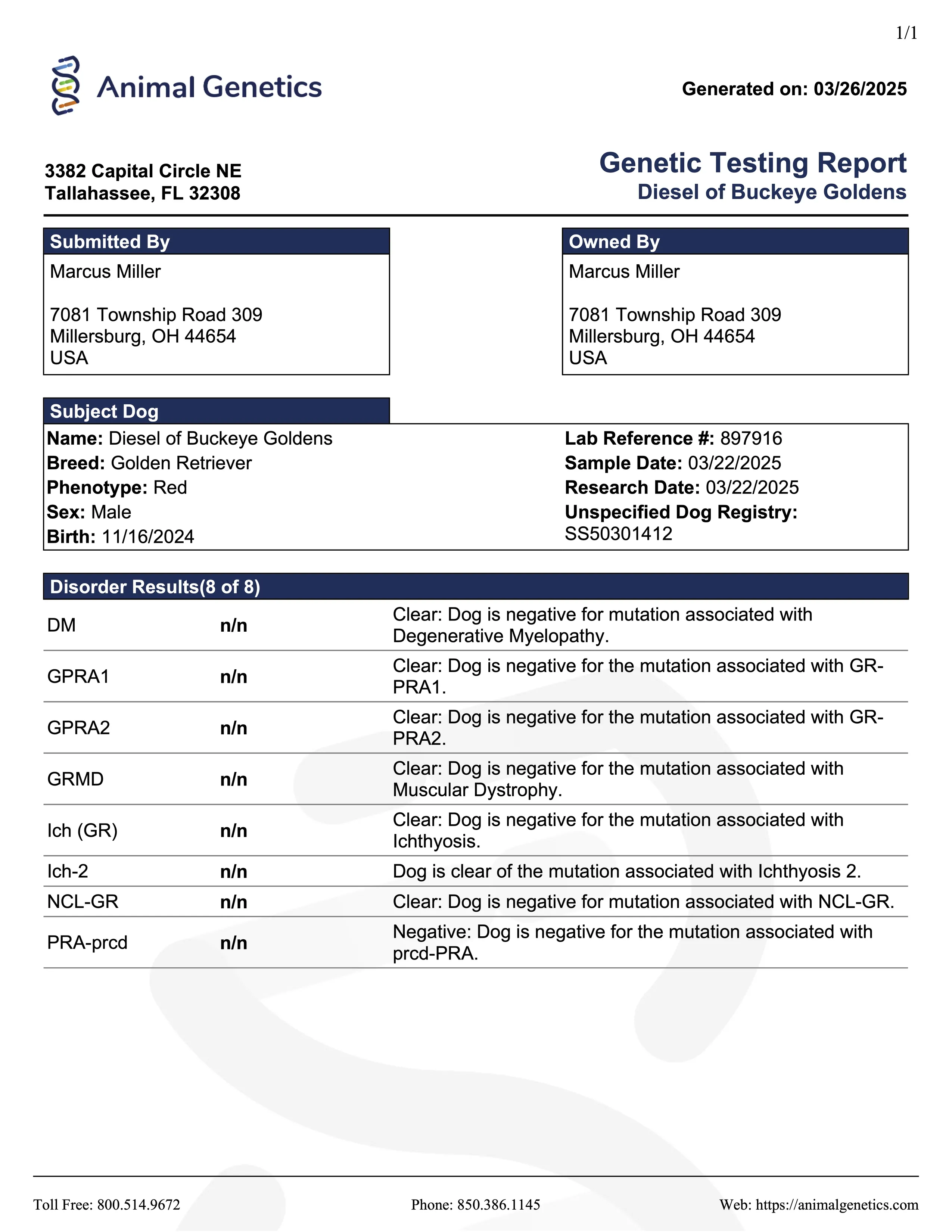 DNA document