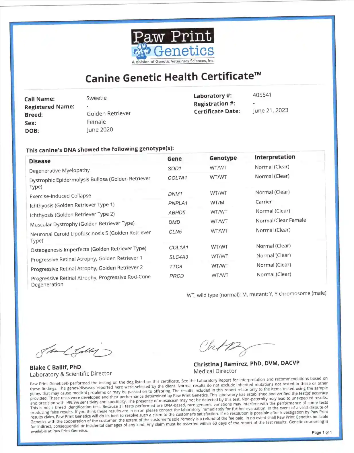 DNA document