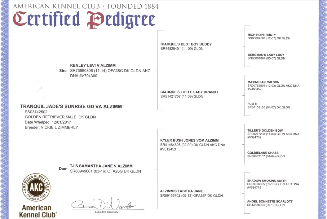 Pedigree document