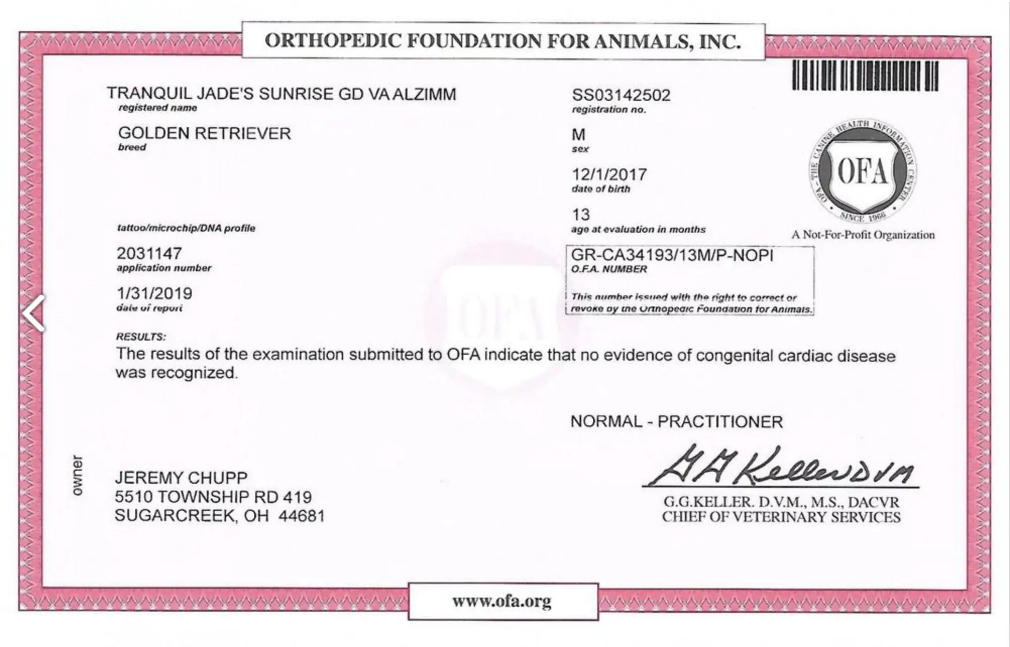 Heart document