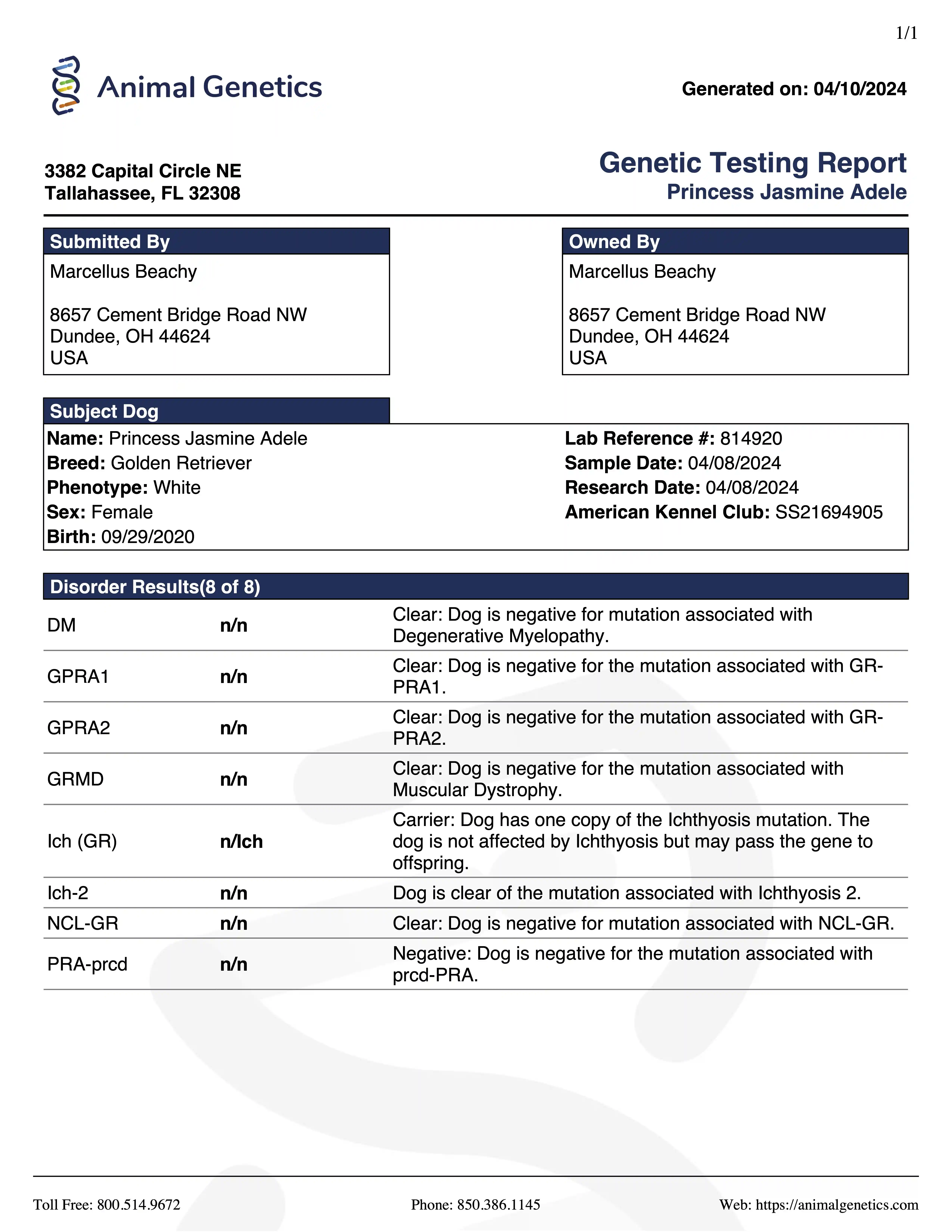DNA document