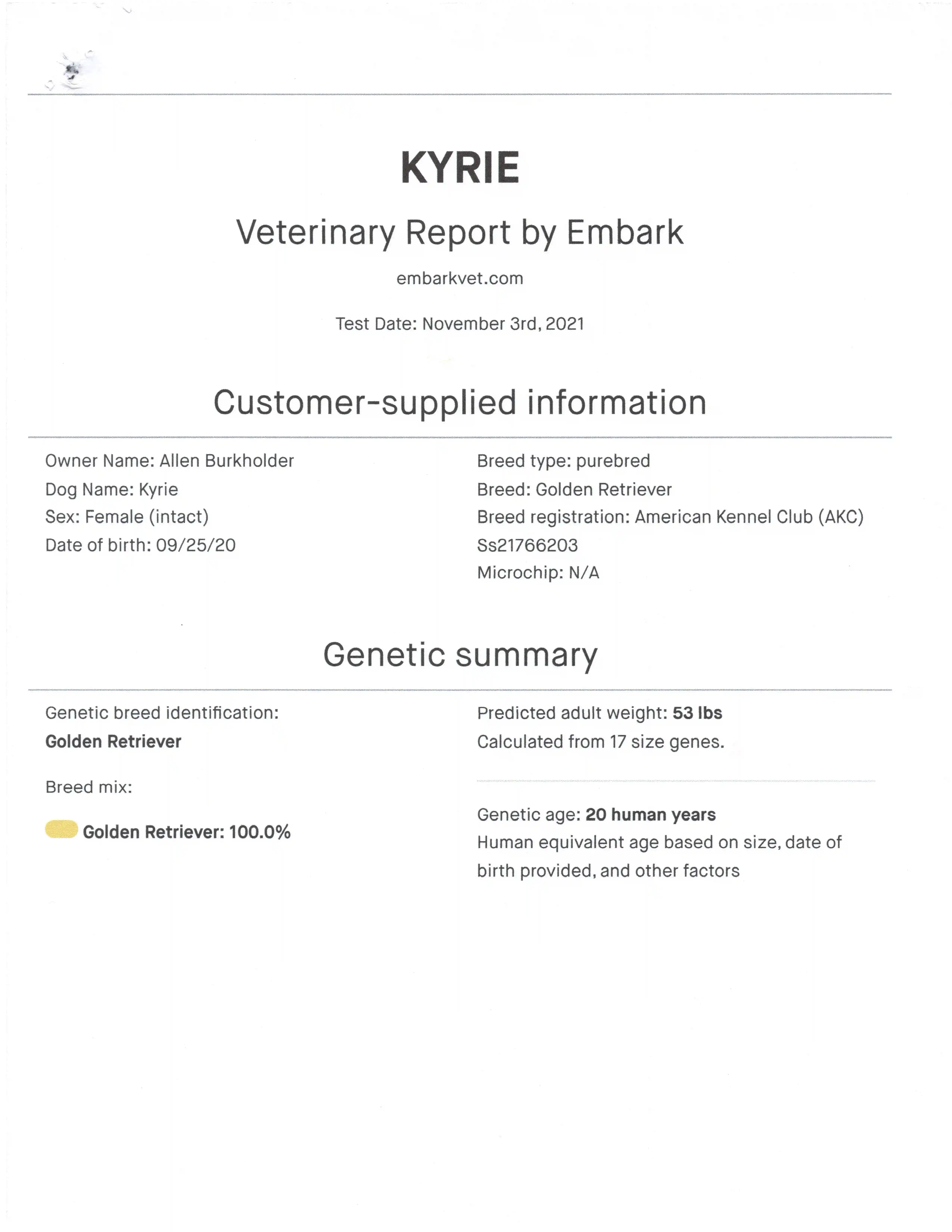 DNA document