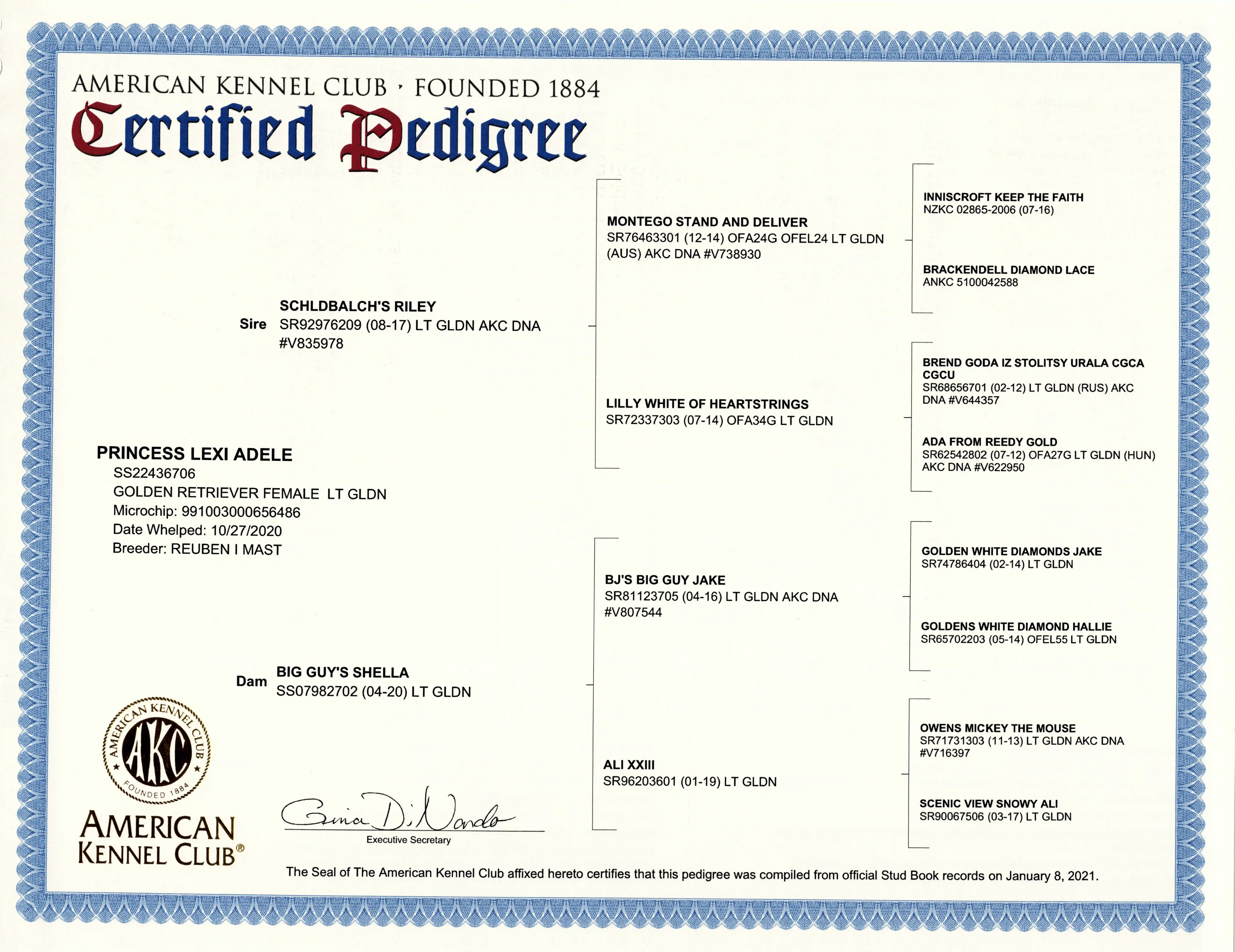 Pedigree document