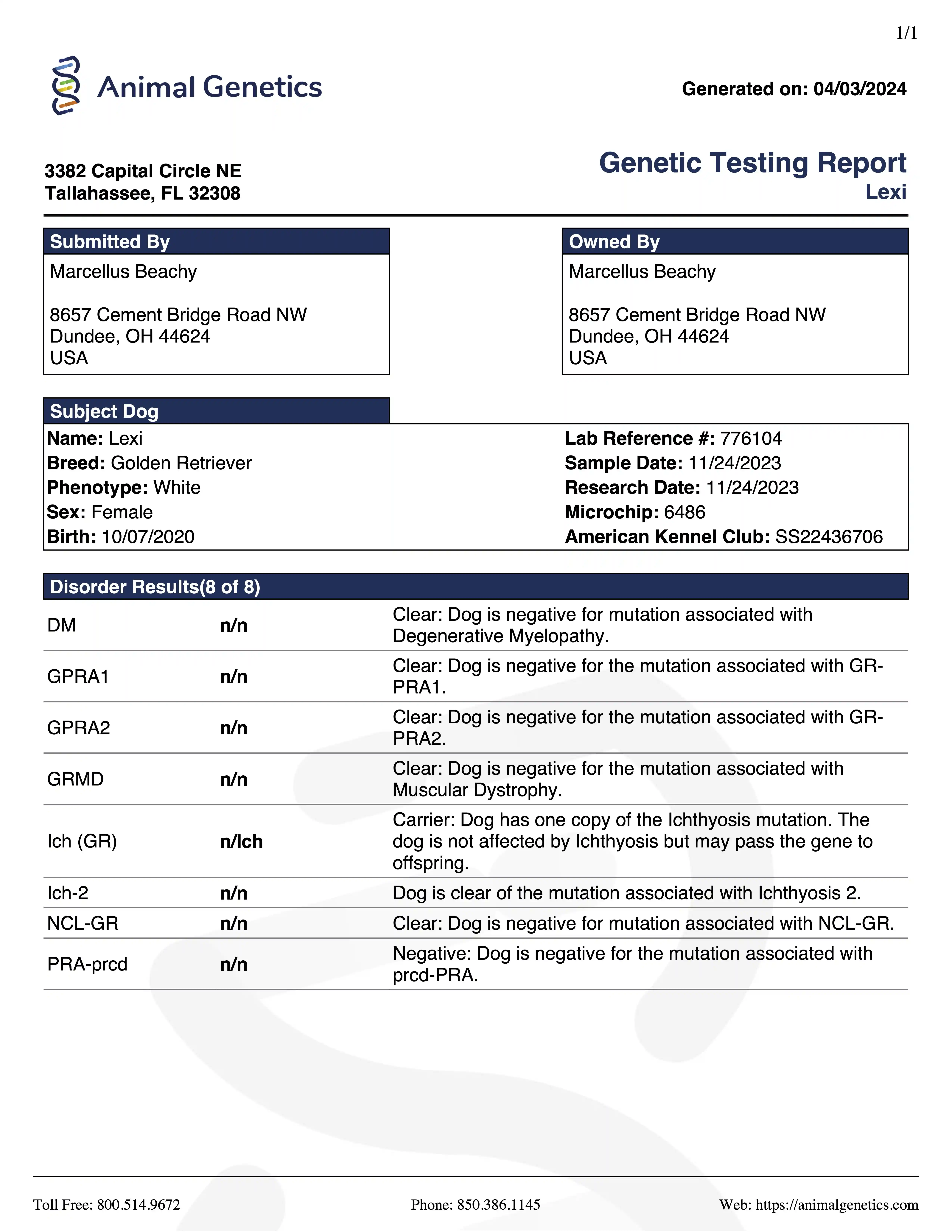 DNA document