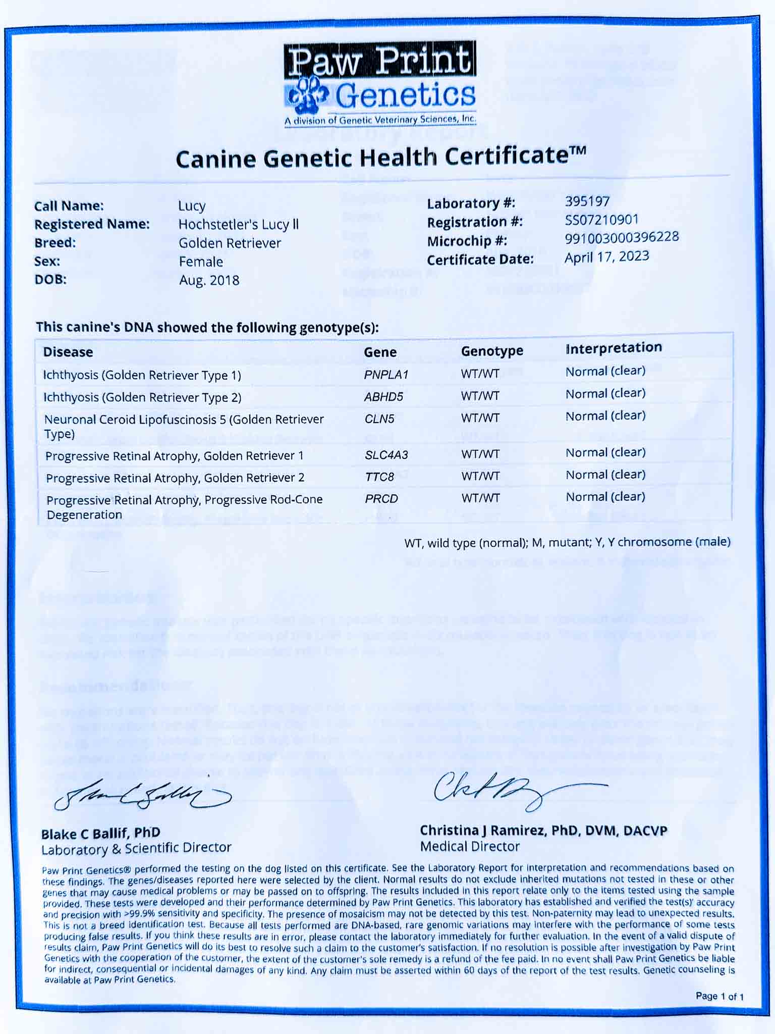 DNA document