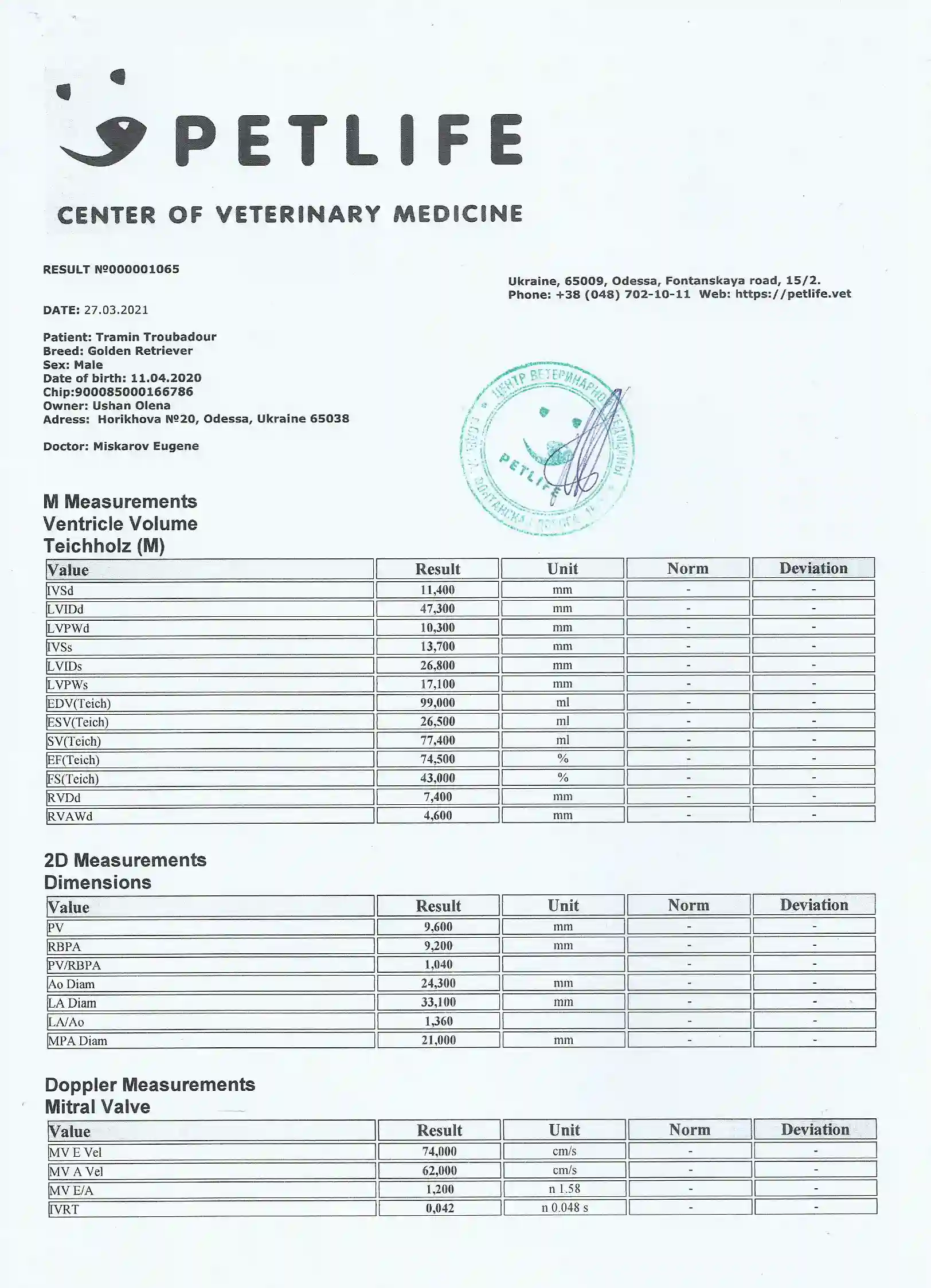 Heart document