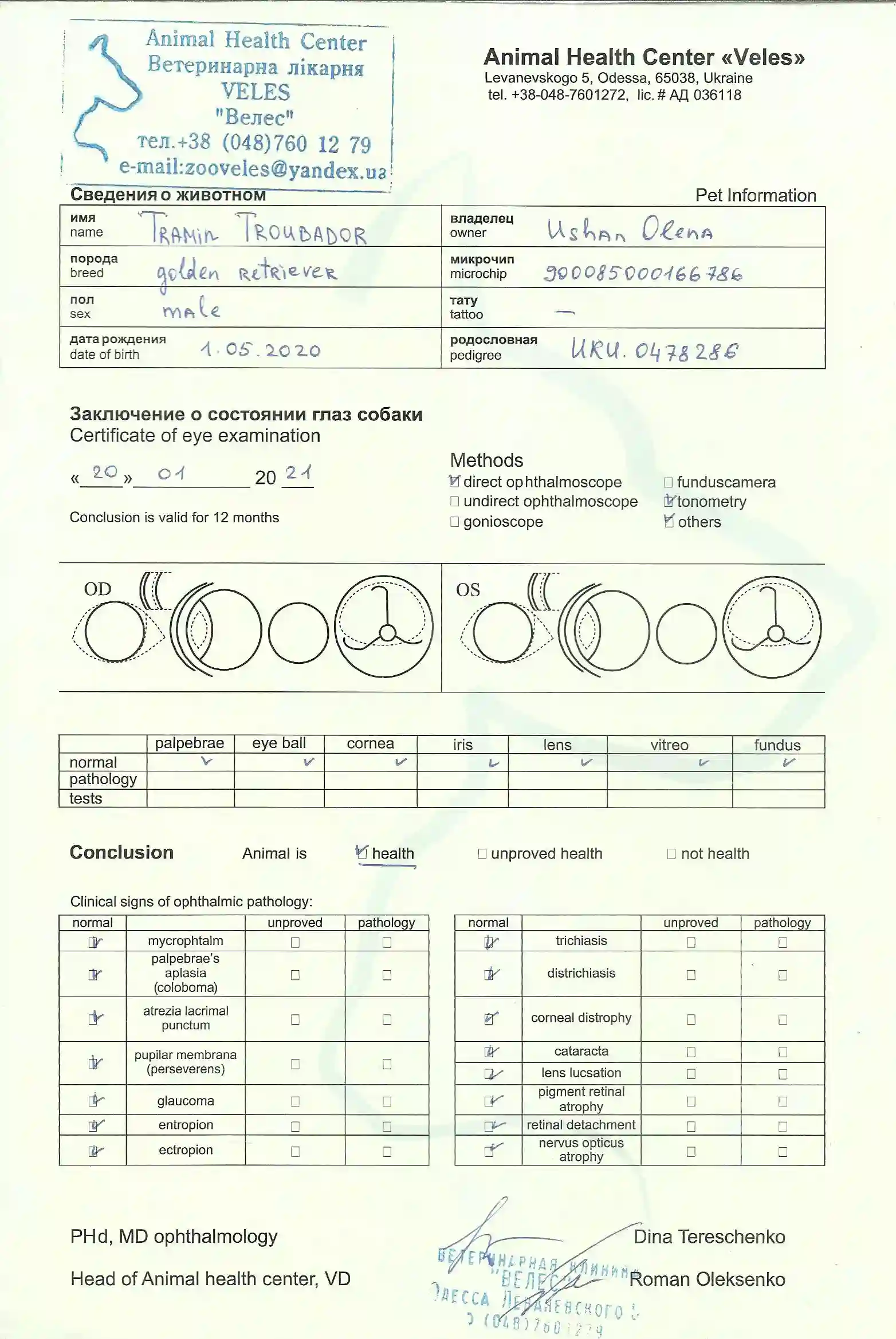 Eyes document