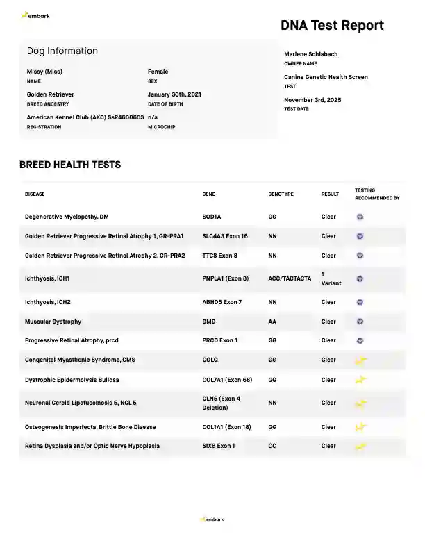 DNA document