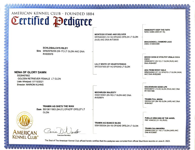 Pedigree document