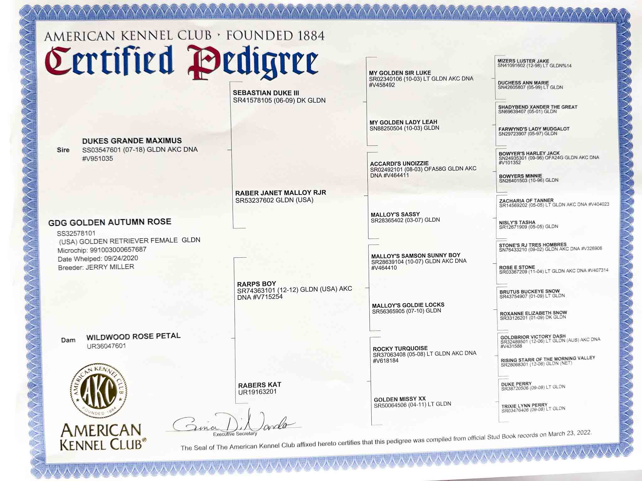 Pedigree document