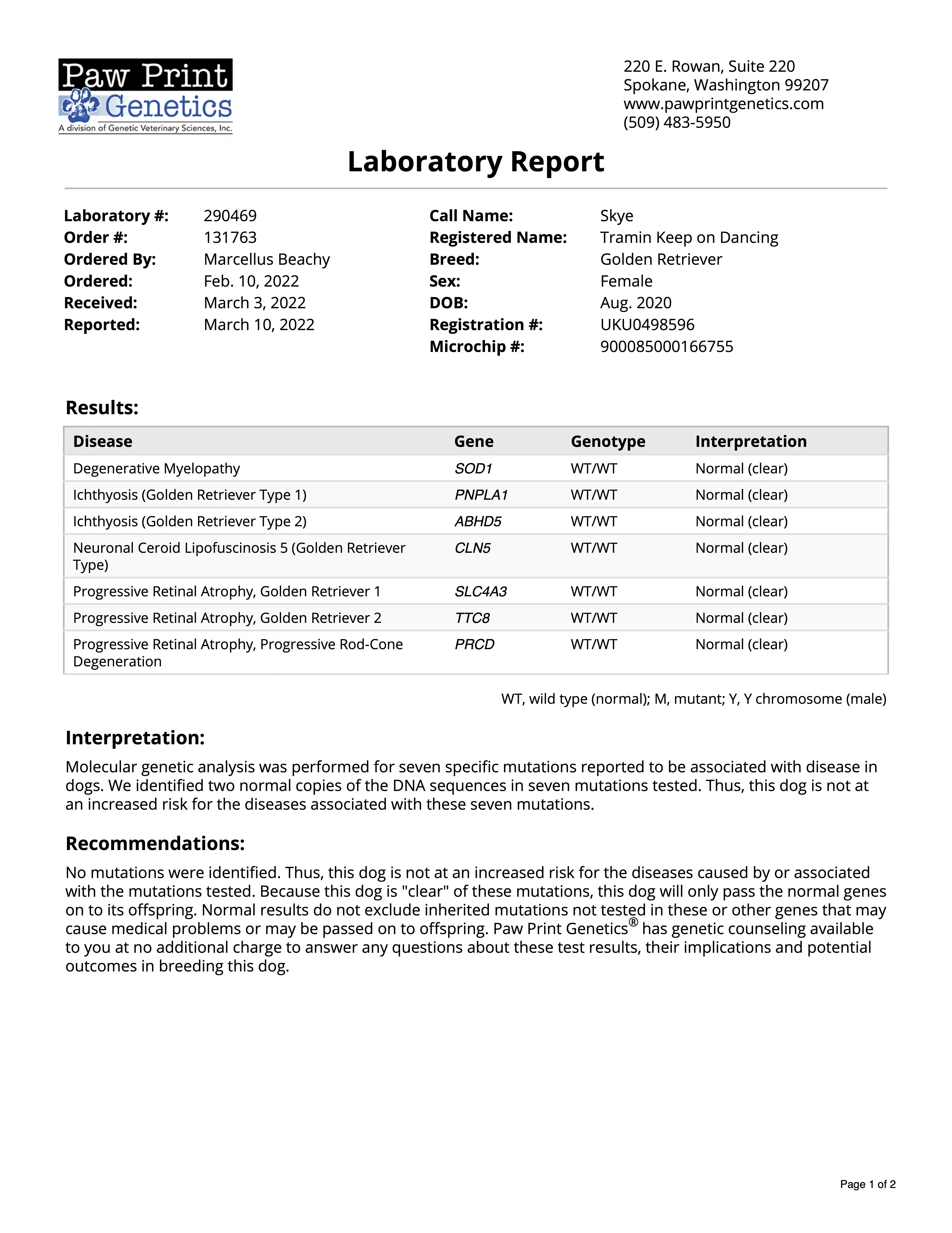 DNA document
