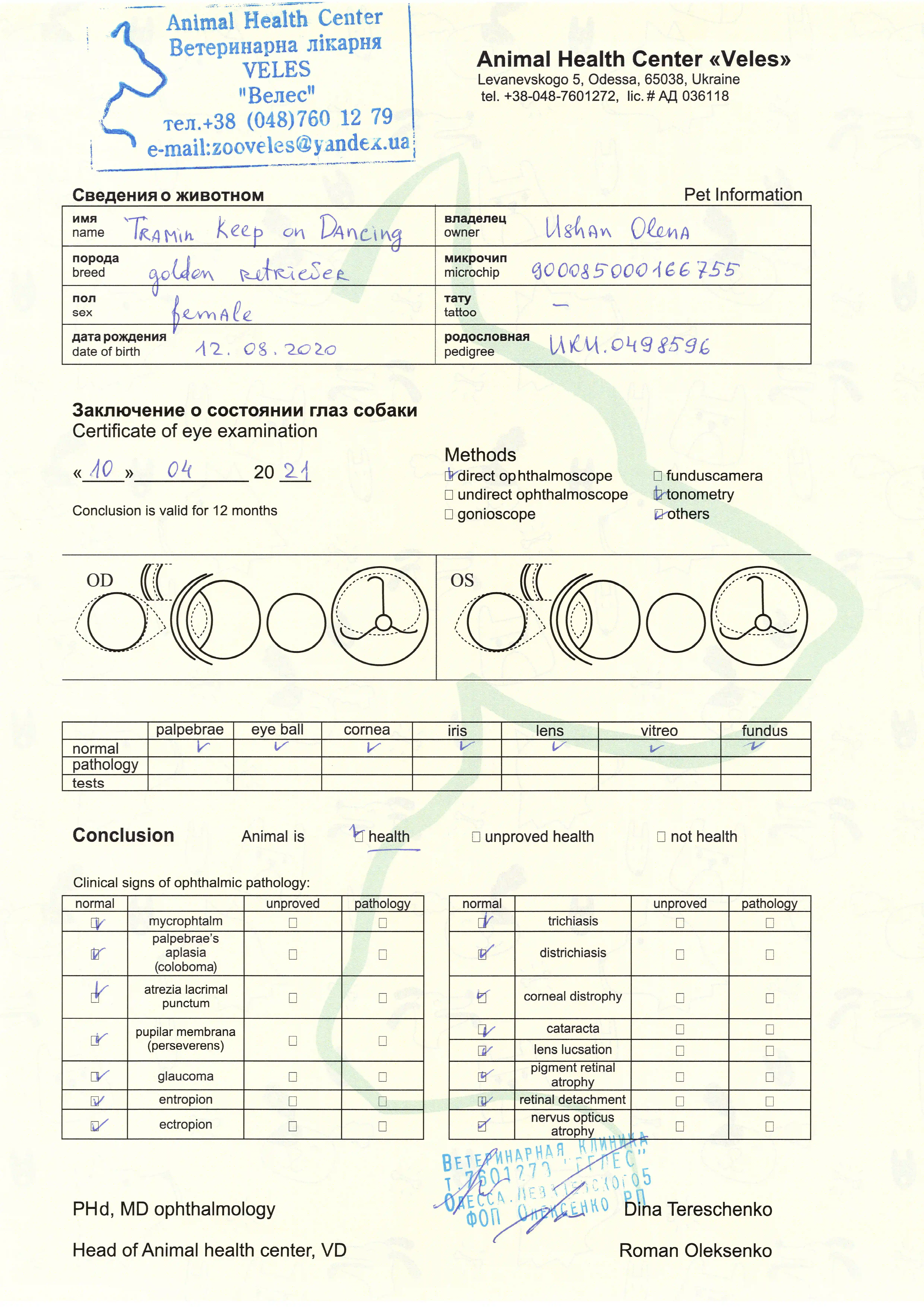 Eyes document