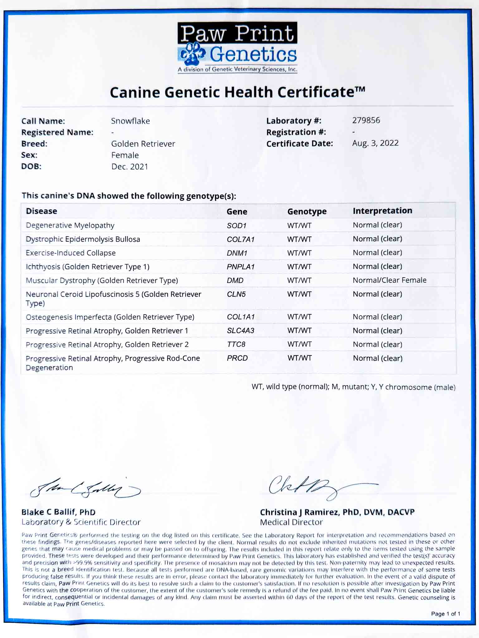 DNA document