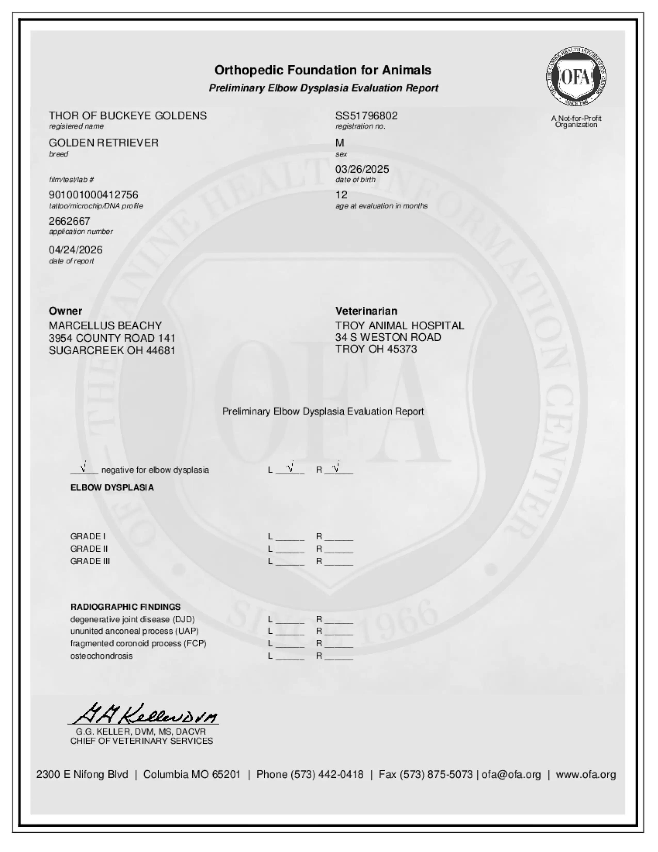 Elbows document
