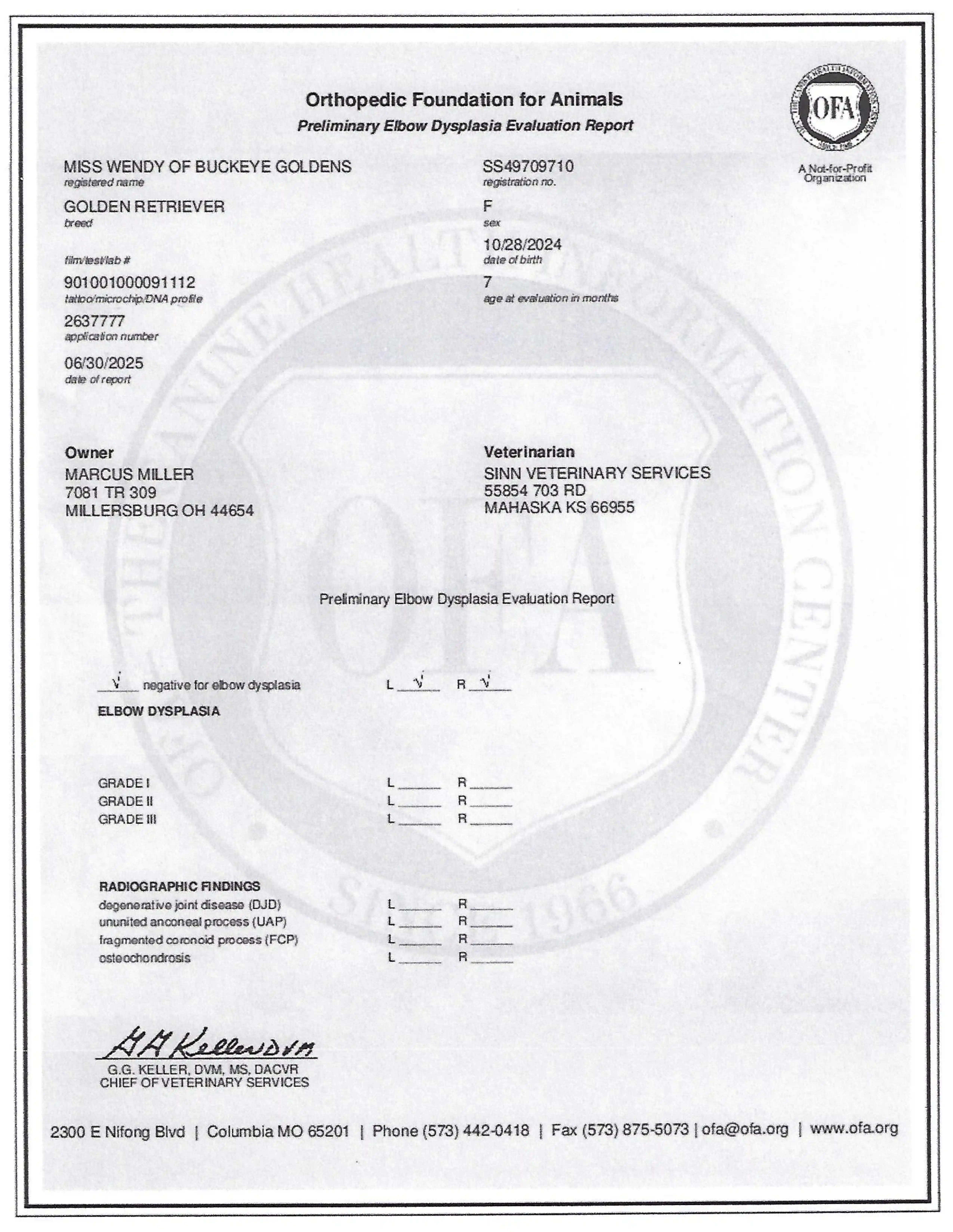 Elbows document
