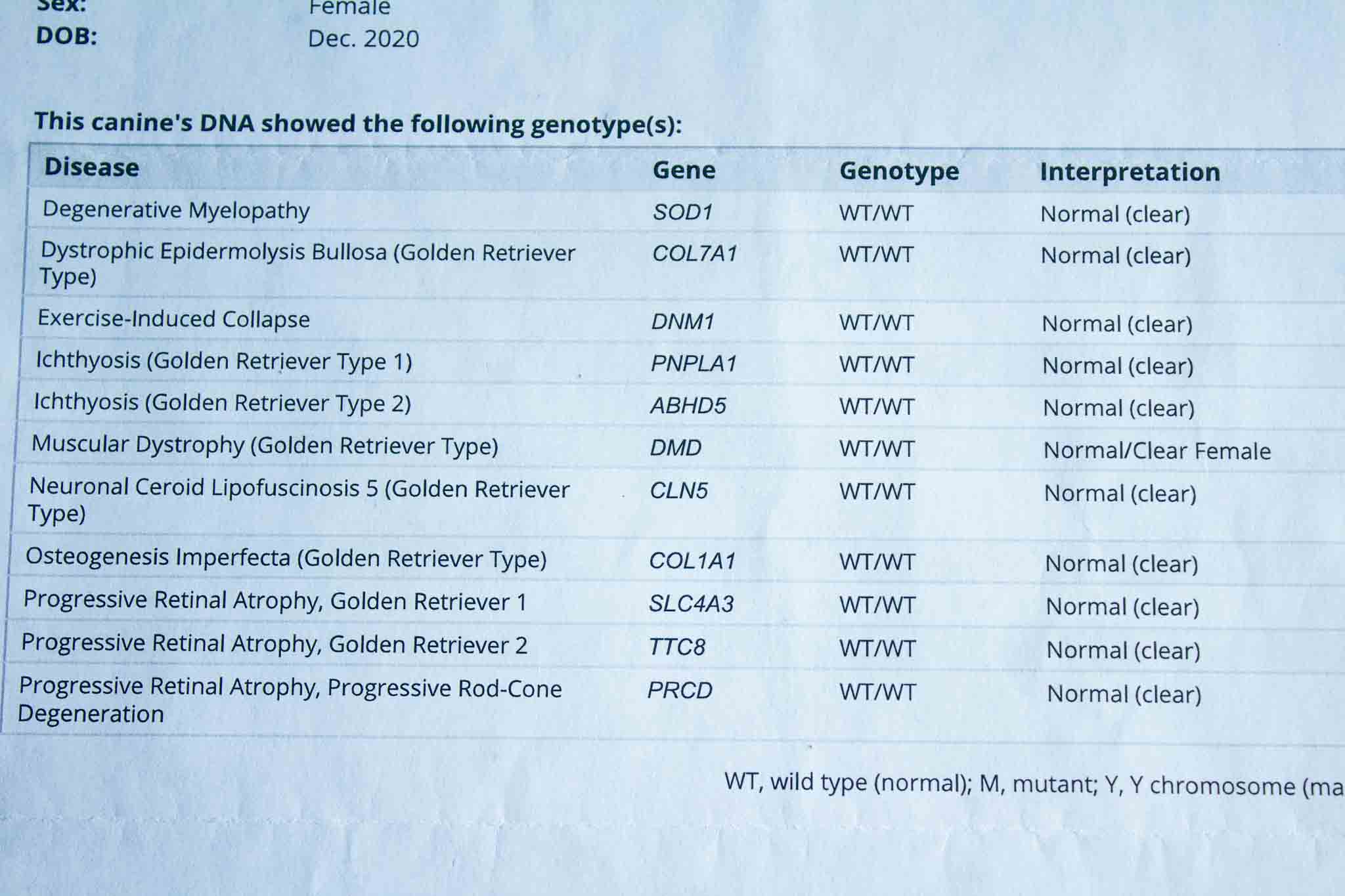 DNA document