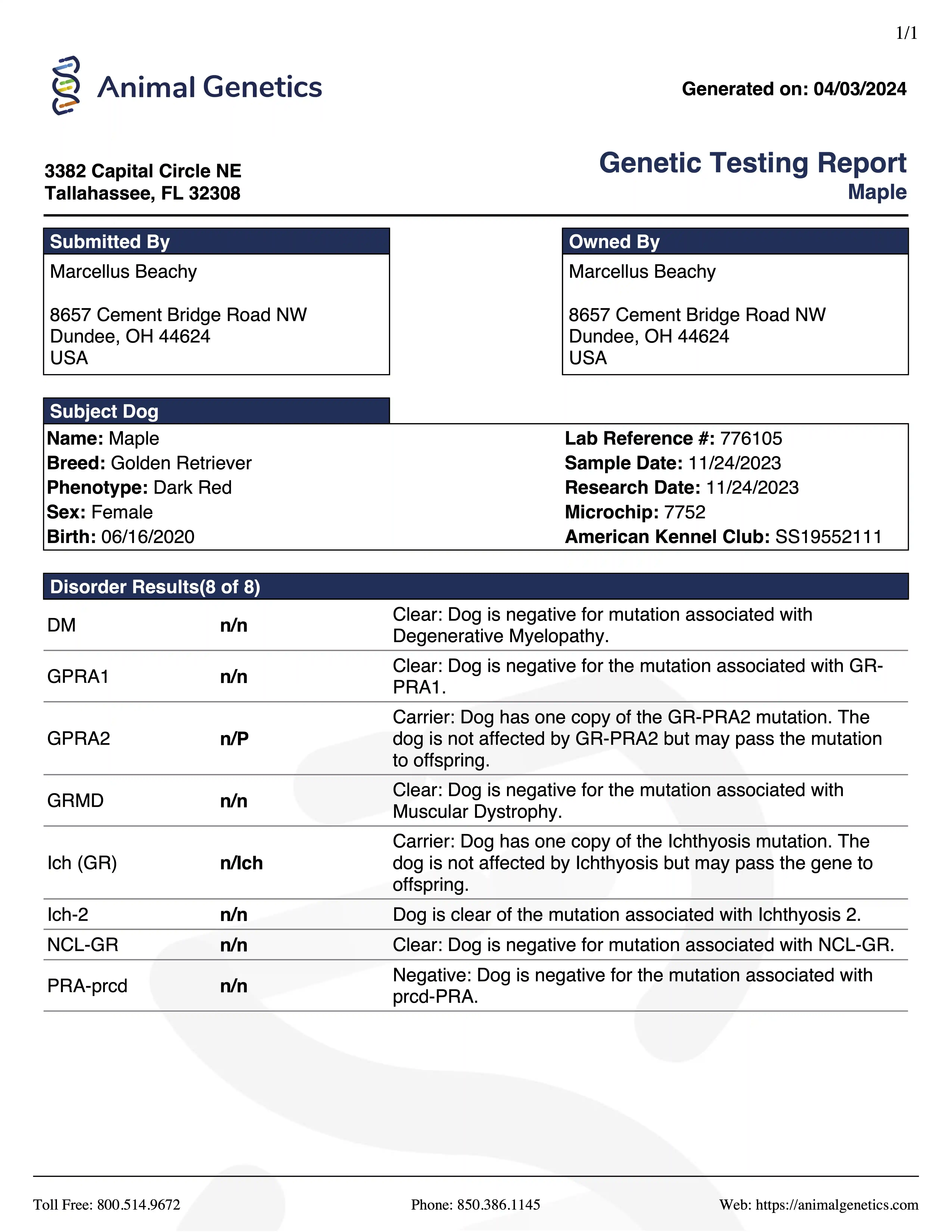 DNA document