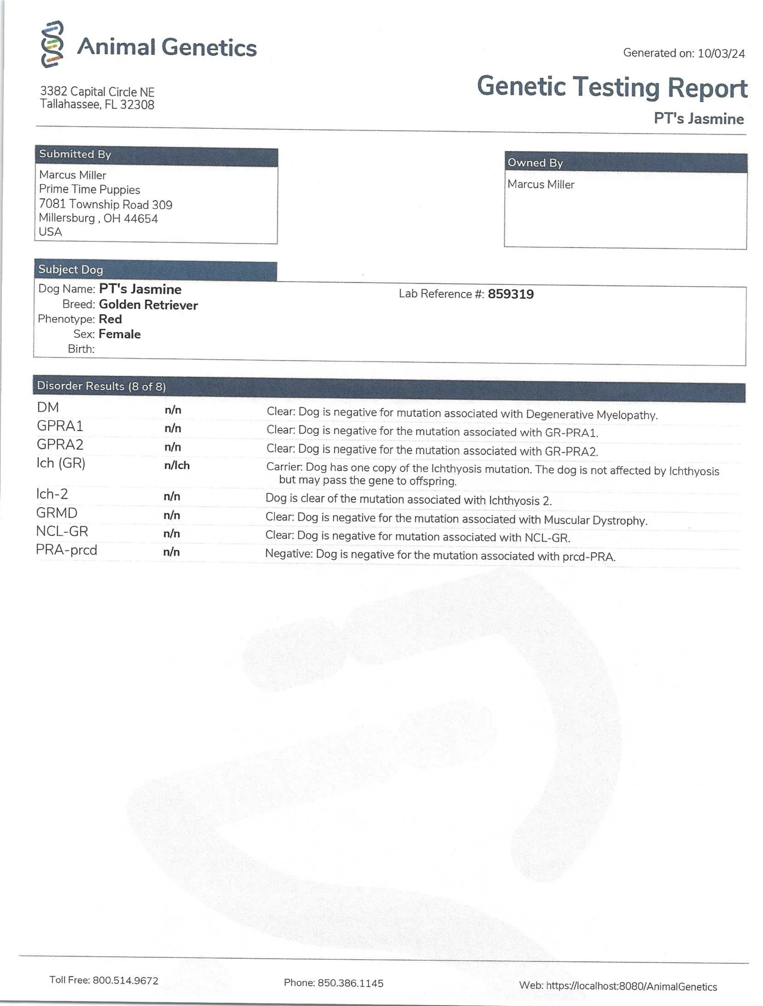 DNA document