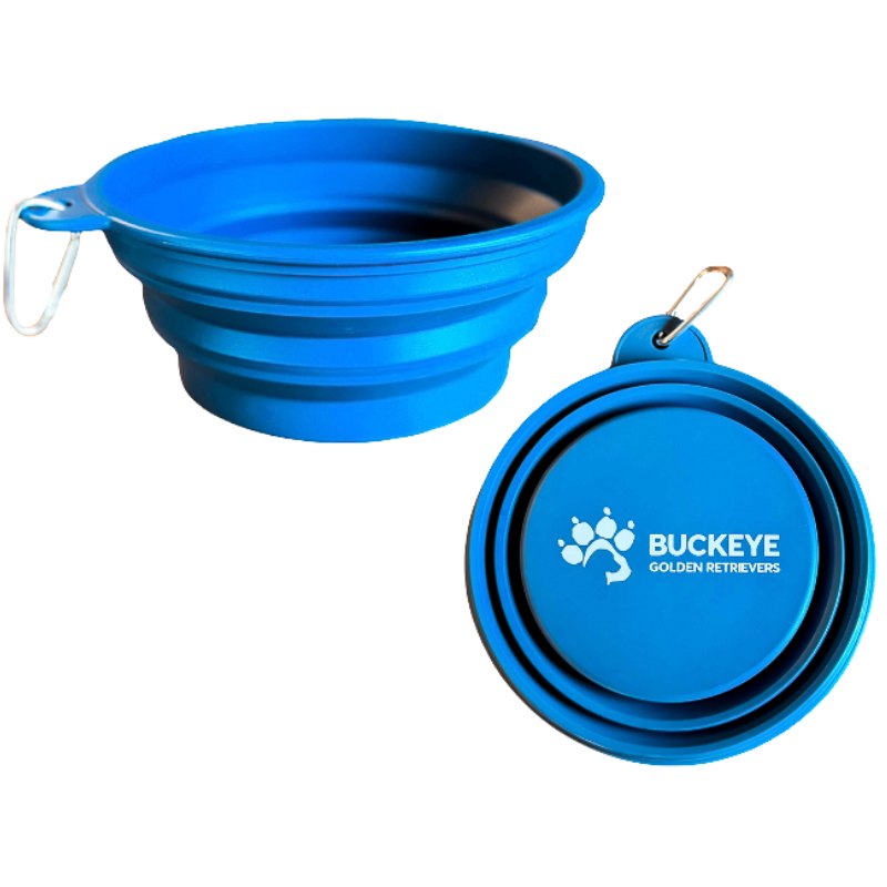 Collapsible Dog Bowl (2 Pack) with carabiner
