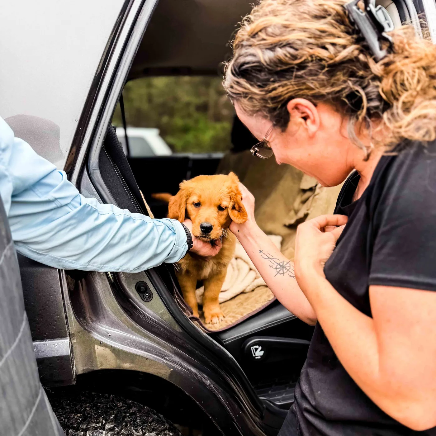 A woman greeting a Golden Retriever puppy in the back of a car