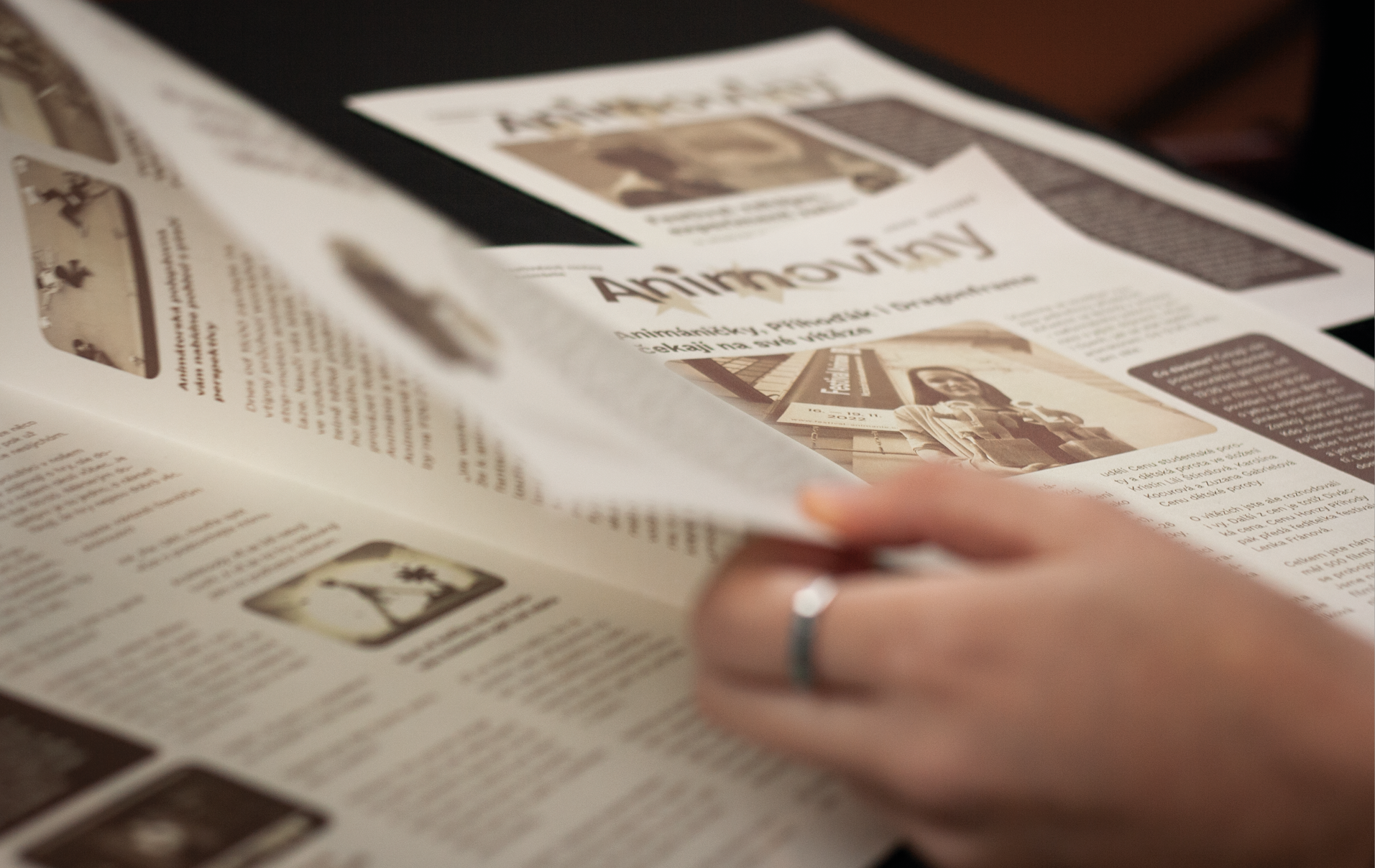 project-animanie-02-04