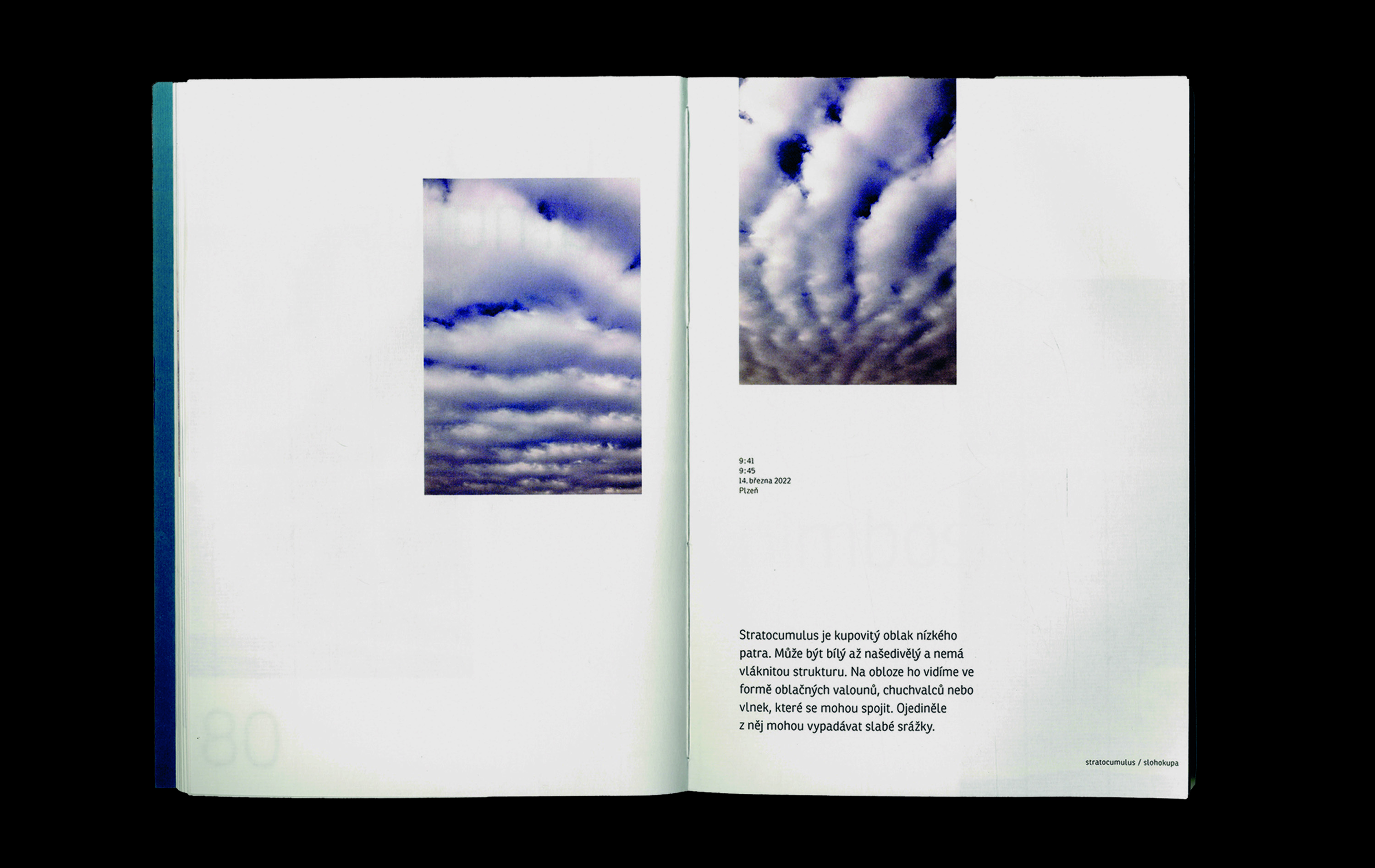 project-hlavu-vzhuru-36