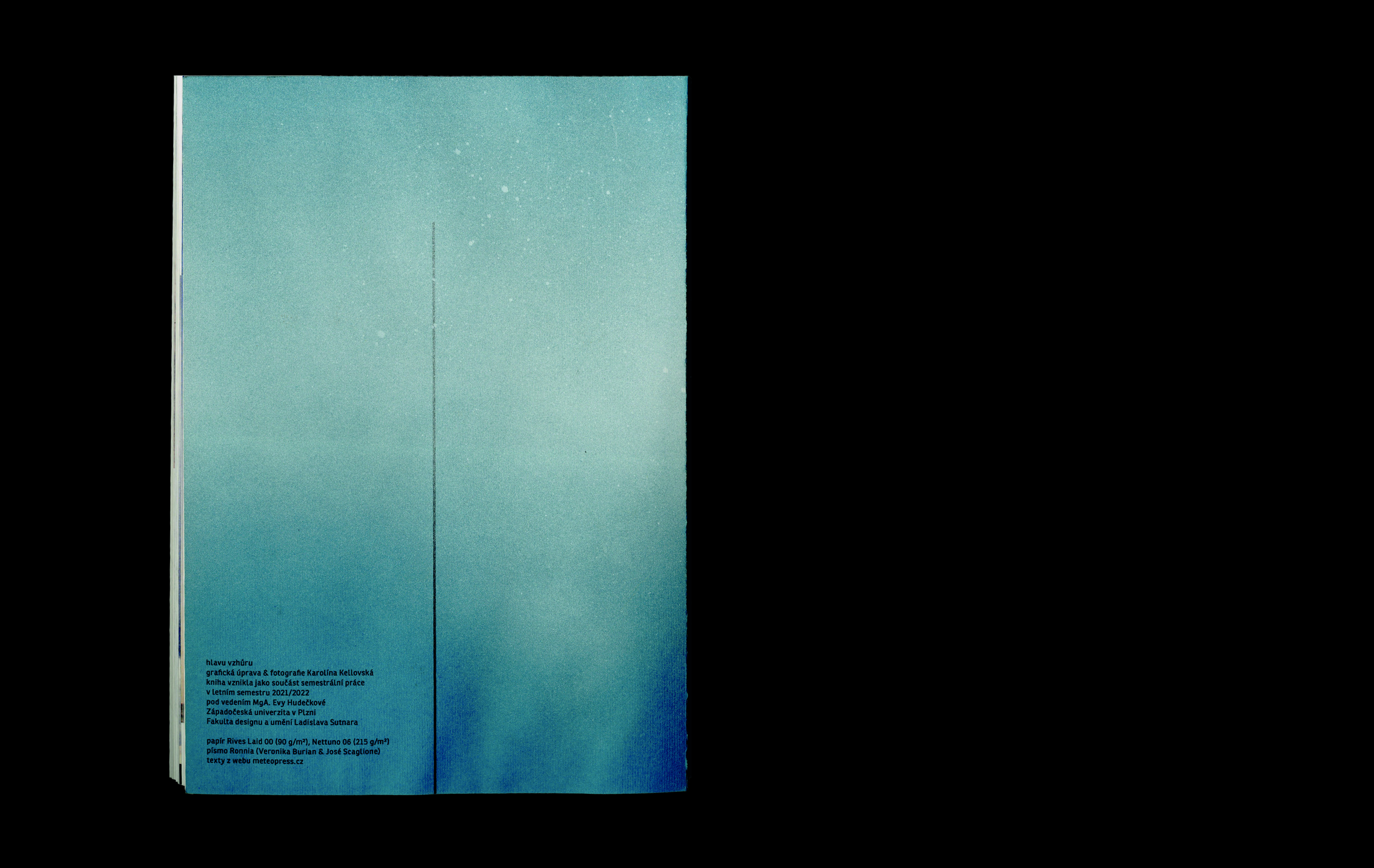 project-hlavu-vzhuru-42