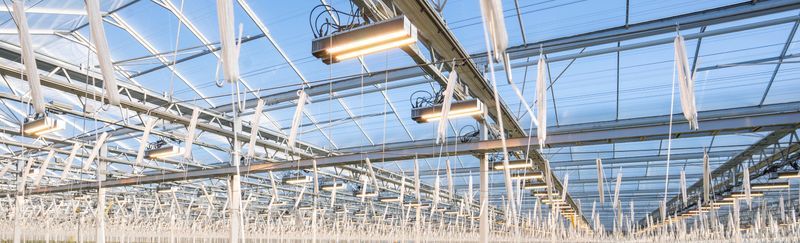 Beyond HPS: Why dynamic LEDs are the next big step - Sollum Technologies
