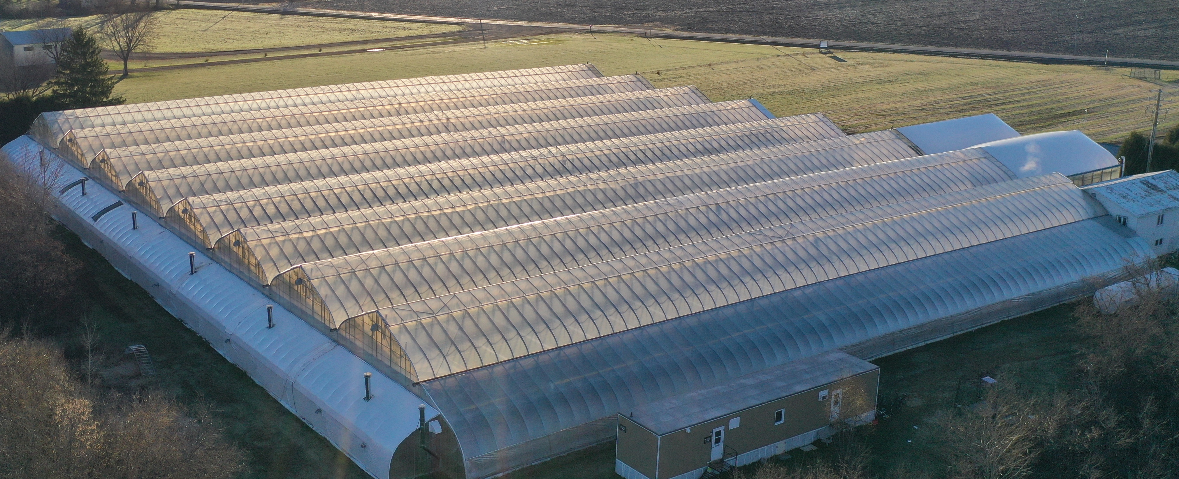 Competitive Advantages of LED Greenhouse Lighting